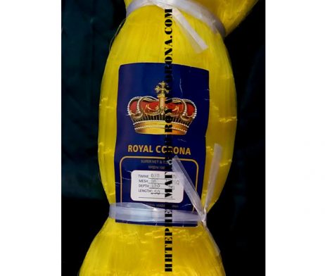 royal-corona36x018x100