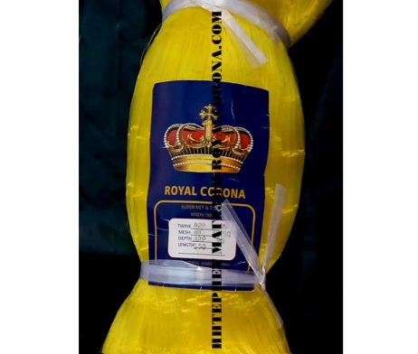 royal-corona40x020x100